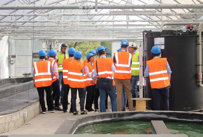 CimentAlgue Project Team Vicat 